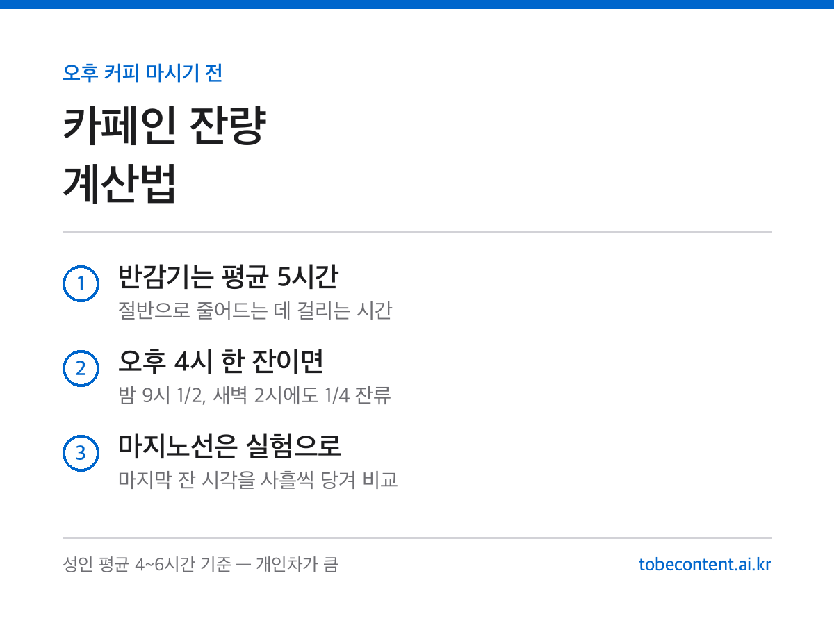 카페인 반감기 잔량 계산법 정리 카드