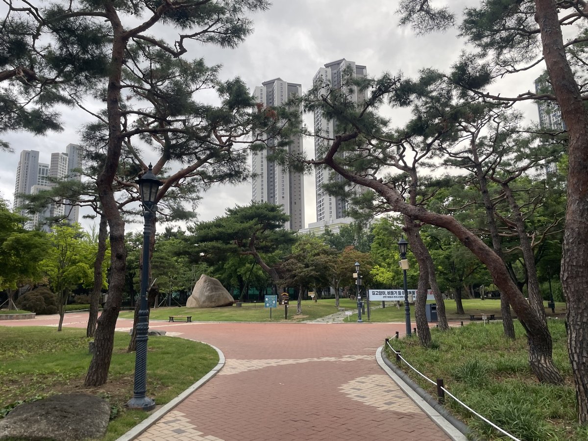 소나무 사이로 난 공원 산책로와 뒤편 고층 건물